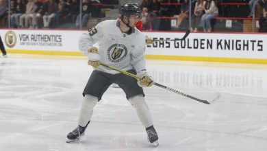 23 Wolverines at NHL Development Camps