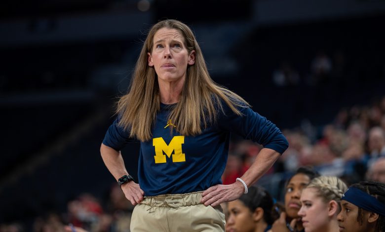Former Missouri guard Lauren Hansen grad transfers to Michigan